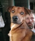 Jesse 48 ปี Tacoma United States