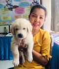 Vivian 46 years Kumpawapi Thailand