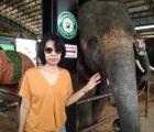 Phakwipha 44 years Moung Surin Thailand