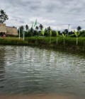 Amon 44 ans สะพานใหม่ Thaïlande