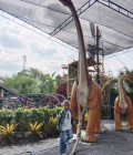 Dolchanok 52 ans Hatyai Thaïlande
