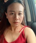 Pink 40 years Muang Thailand