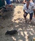 Pat 55 ปี Koh Samui ไทย