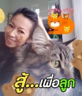 Jan 49 ans Maechan Thaïlande