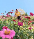 Paricha 47 years Lynne Thailand