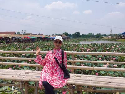 Tukta 60 ans Muang  Thaïlande