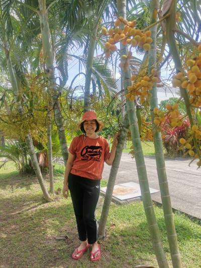 Pat​ 46 ans บรบือ Thaïlande