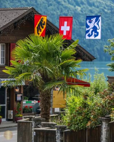 Benjamin 24 ปี Switzerland ไทย