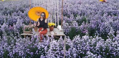 Honey 37 ans Muang  Thaïlande