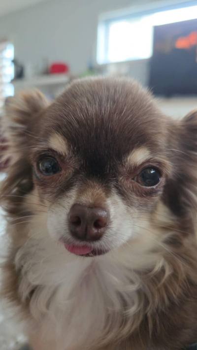 Damien 34 ปี Bangkok ไทย