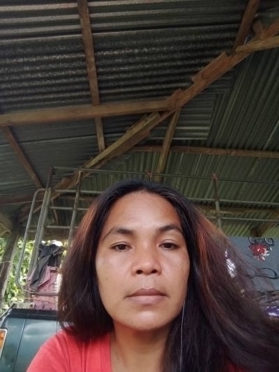 Wan​ 41 years ศีขรภูมิ Thailand