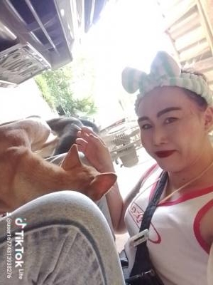 Sophia 36 ans Thailand  Thaïlande