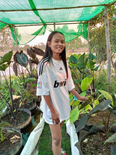 Hansa 38 years ปราสาท Thailand