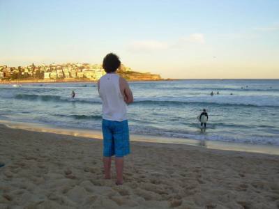 Francis 39 ปี New York City United States