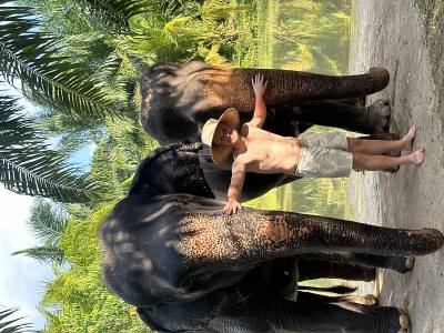 Kc 25 ปี New York United States