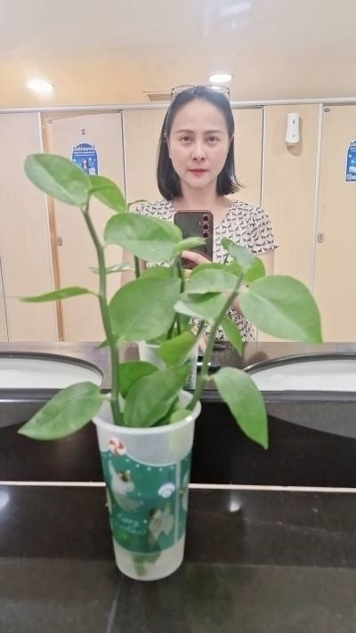 New 39 years Phitsanulok Thailand