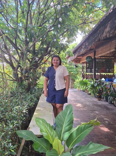 Toom 42 ans Center Thaïlande