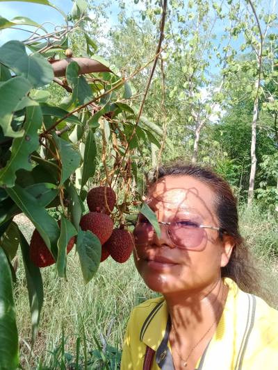 Julee 41 Jahre The Country  Thailand