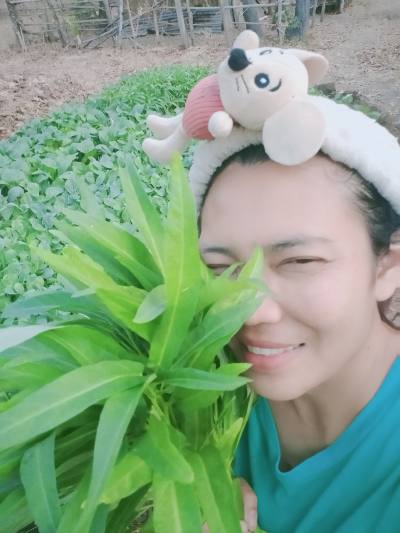 Muay 39 Jahre Nachonratchasima  Thailand
