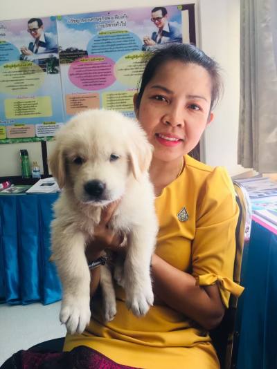 Vivian 46 years Kumpawapi Thailand