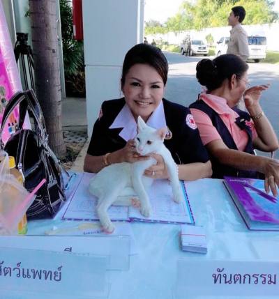 May 54 Jahre Chiang Mai Thailand