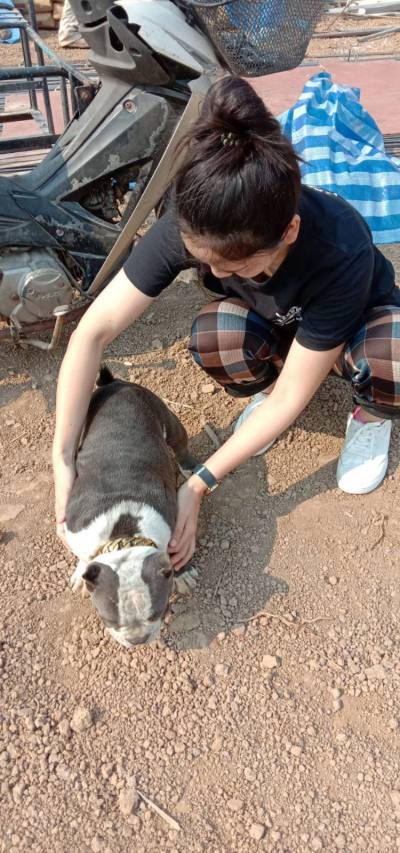 Jeanna 41 ans Bangkok Thailand Thaïlande