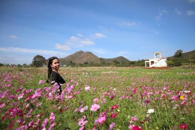 Danita 43 years เมืองสมุทรปราการ Thailand