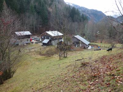 Sylvain 51 ปี Martigny Switzerland