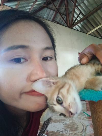 Patcharaporn 35 ans อำเภอศีขรภูมิ Thaïlande