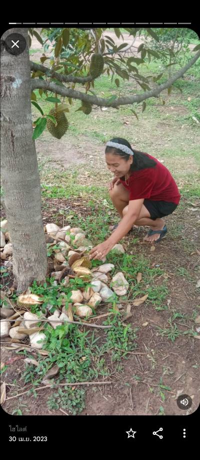 Rattana chu 52 Jahre Bangkok Thailand