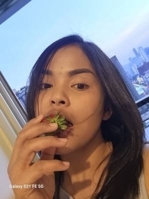 Rose 35 years สตึก Thailand