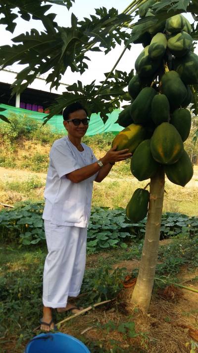 Aommata 54 Jahre Pattaya  Thailand