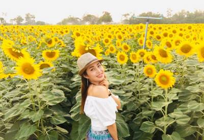 Nong 43 Jahre Muang Thailand