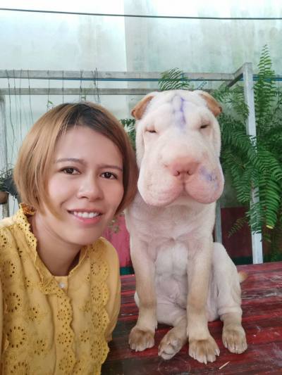 Maytika 36 ans Trang Thaïlande