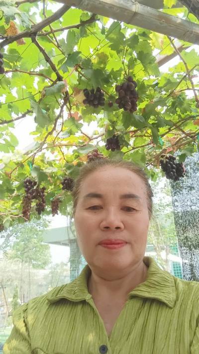 Duangjan 53 years Khonkean  Thailand