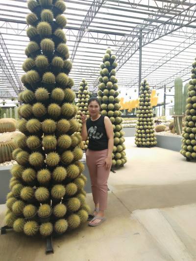 Aom 37 Jahre Rayang  Thailand