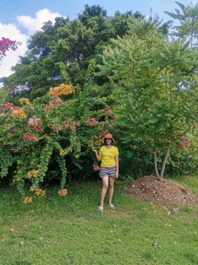 Pat​ 46 ans บรบือ Thaïlande