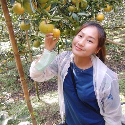 Saeshe 29 ans เชียงราย Thaïlande