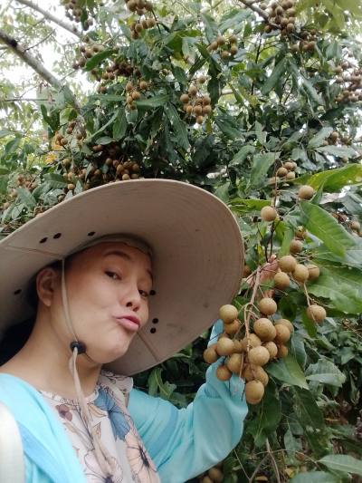 Patcha 48 Jahre Phayao Thailand
