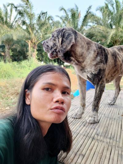 Dari 36 ans สว่างวีระวงศ์ Thaïlande