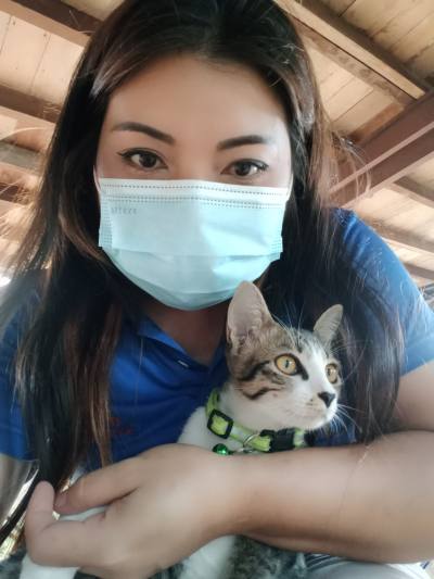 Kanya 41 years Chaing Rai Thailand