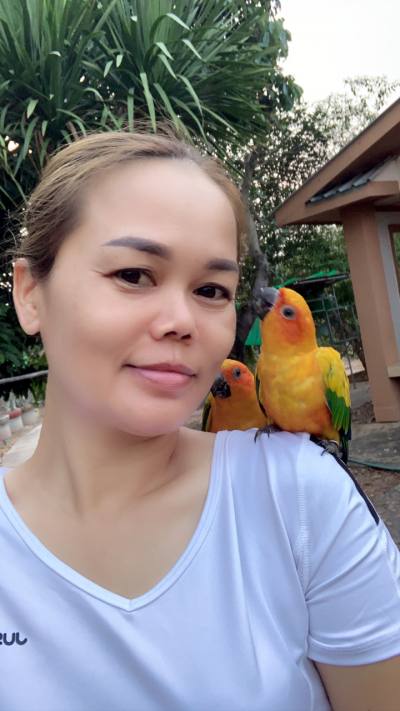 Ann 48 ans Khonkaen Thailand Thaïlande