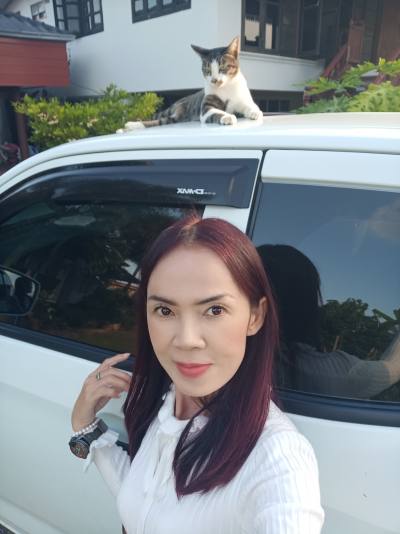 Jira 49 ans เมือง Thaïlande