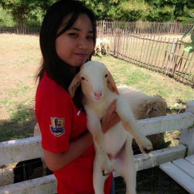 Nok 36 years Nakhon Ratchasima Thailand
