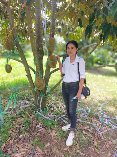 Phim 45 ans Thalland Thaïlande