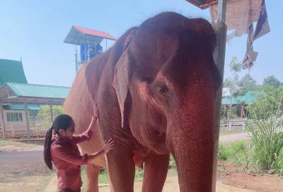 Narisara 33 Jahre Khon Kaen Thailand