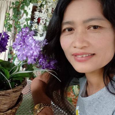 Aoywan 50 years Aoywan  Thailand