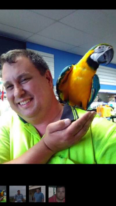 Matt 52 ปี Shearwater  Australia