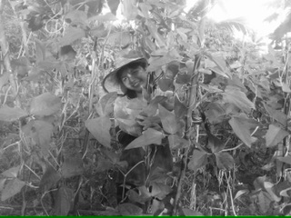 Ppp 29 years Rayang Thailand