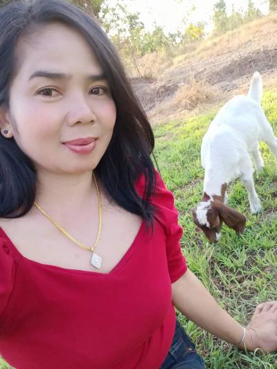 Orathai 51 ans ชัยภุมิ Thaïlande
